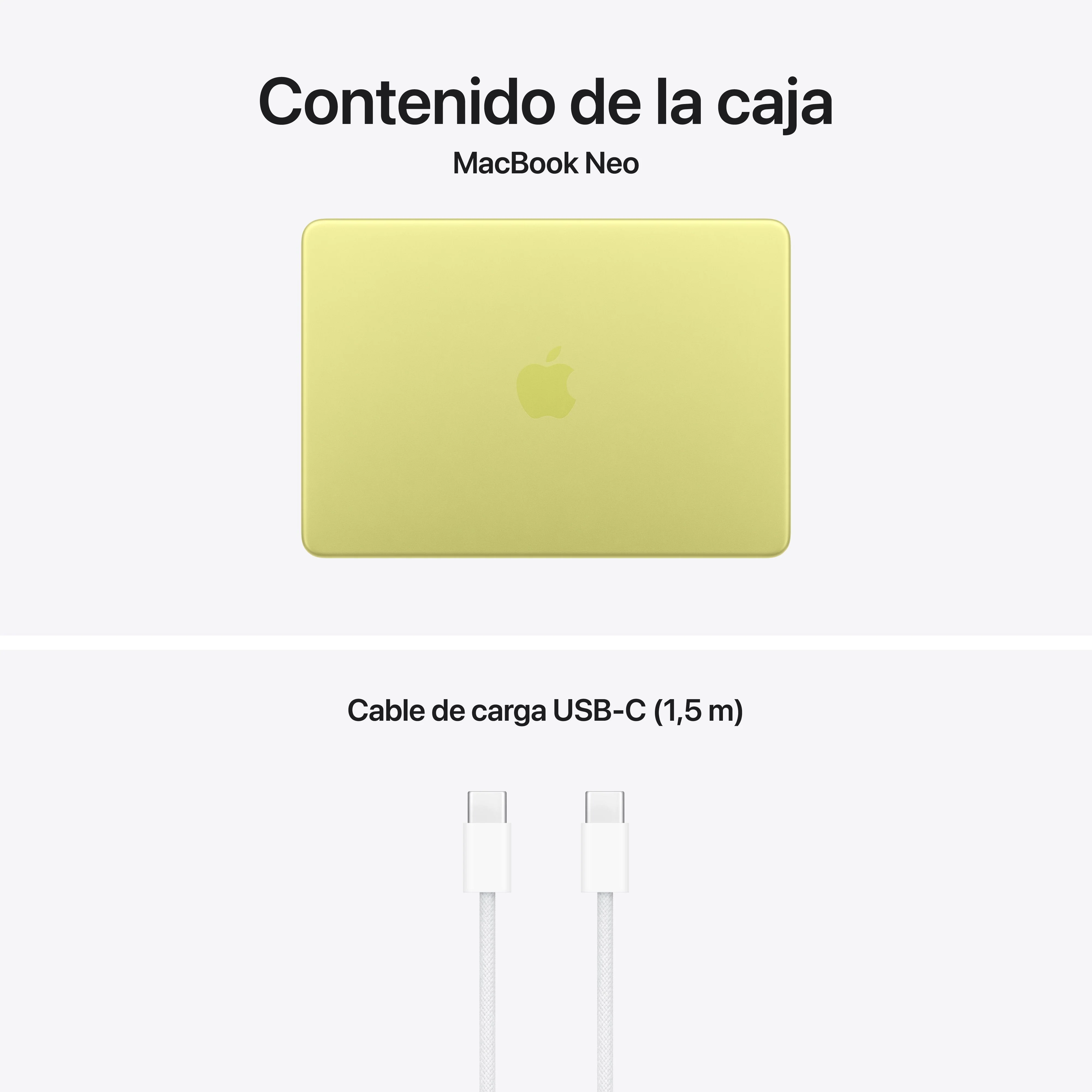 Imagen del producto 10