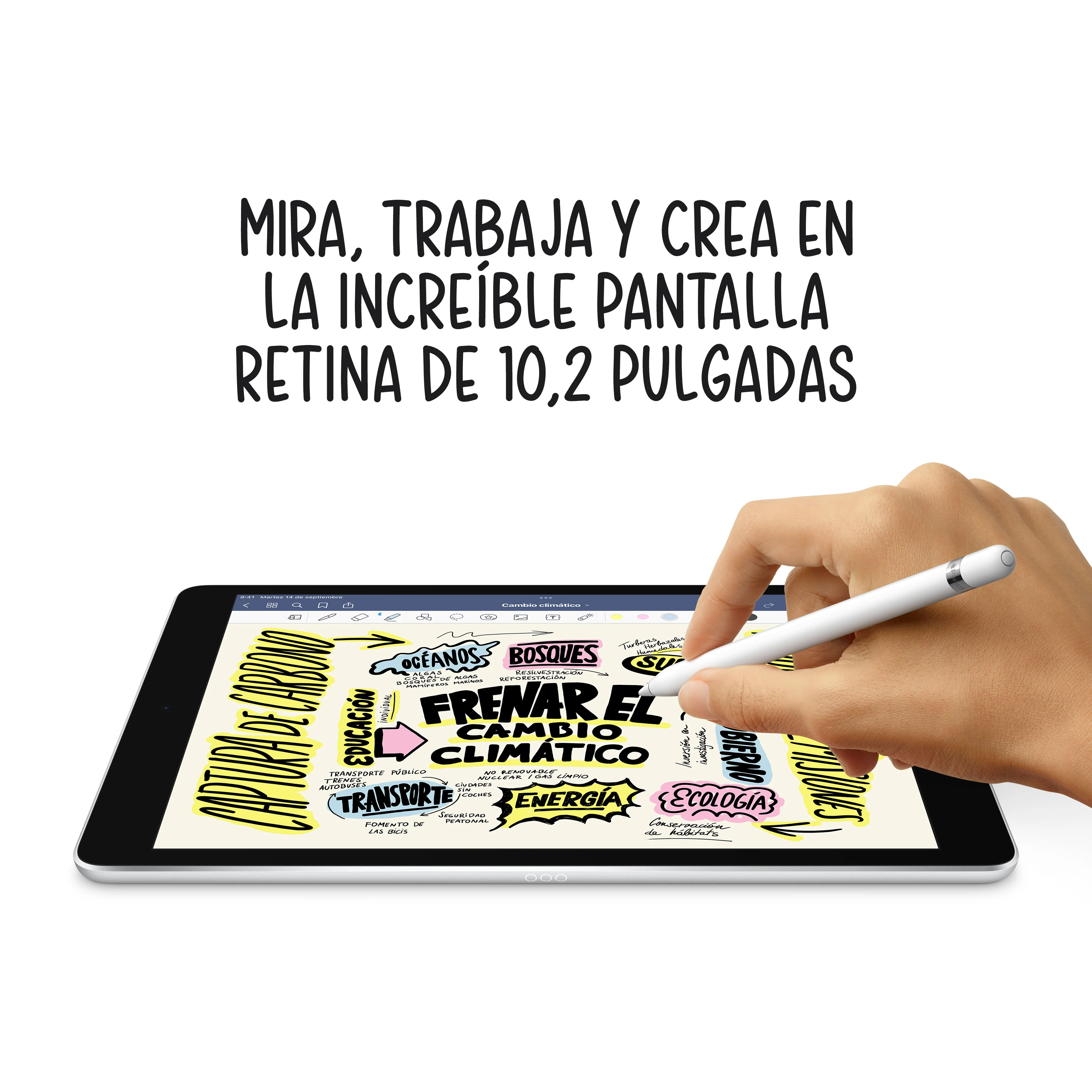 Imagen del producto 4